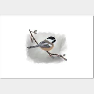 Chickadee Soft Pastel Drawing on Grey Posters and Art